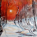 Evening Shadows