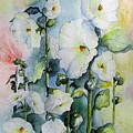 Hollyhocks