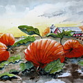 Pumpkin Harvest